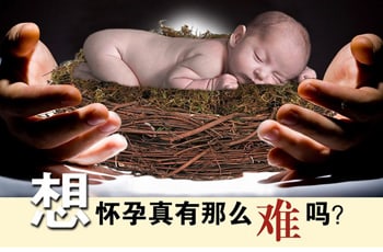 �Ϸʲ��в���ҽԺ