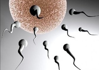 ���Ի�������֢����������Щ?