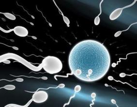 ���Ծ�ҺΪ�λ᲻Һ��?