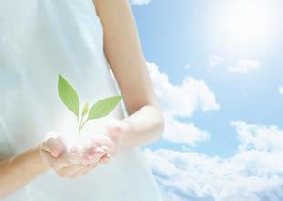 �ӹ���Ĥ̫�� �����������