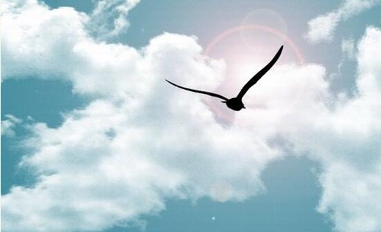 �ӹ���Ĥ̫�� �����������