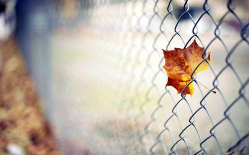 ̫��ĵ��� ���ѹ�ͨ�������᲻����