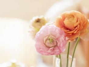 ÷�������ຮ�� �Ҹ��������ܻ����졪Ӥ��