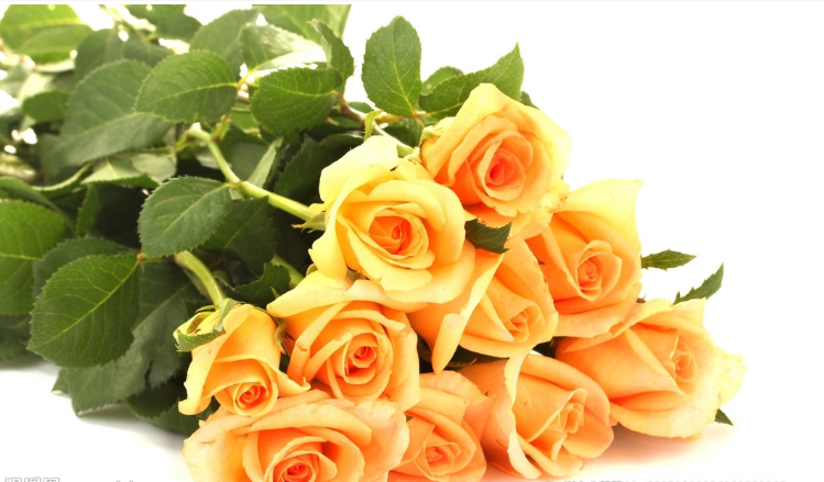 �����Բ�������Щԭ��