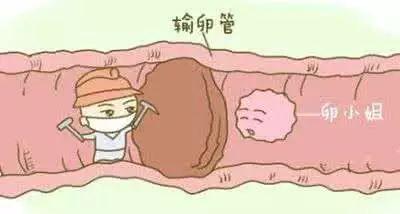 ���ѹܶ���������