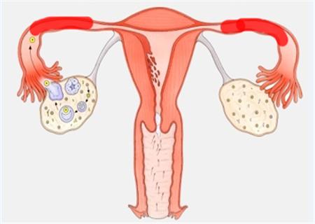 �Ϸ���ɽҽԺ�����ѹܻ�ˮ�����ѹܻ�ˮԭ��