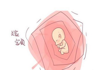 �Ϸ����ƹ����Բ���ҽԺ �����Բ�������