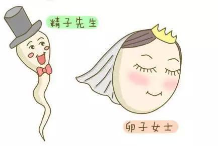 ����Ⱦɫ����ô���