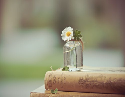 �Ϸ��������Ӧ���侫������?