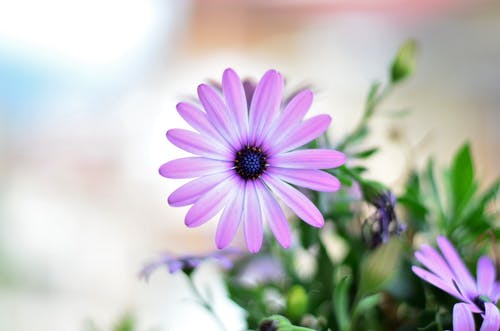 �Ϸ����ƾ�����������Ҫ������Ǯ��