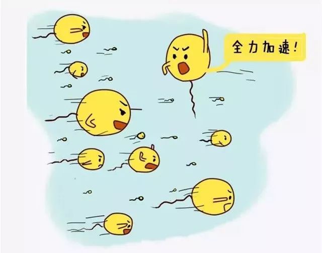 ���Ի�������֢��ԭ����ʲô