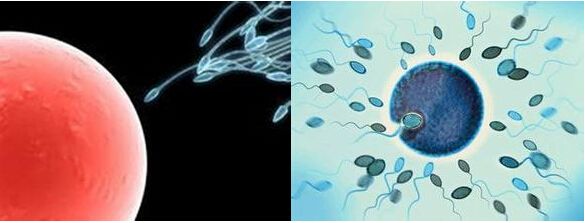 ���¾�Һ�ٵ�ԭ����ʲô ��ʲô�ȽϺ�