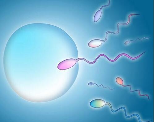 ����������������߾�������