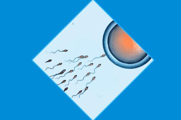 ����ǰ����Ҫ�˽���Щ���ھ��ӵ�С��ʶ