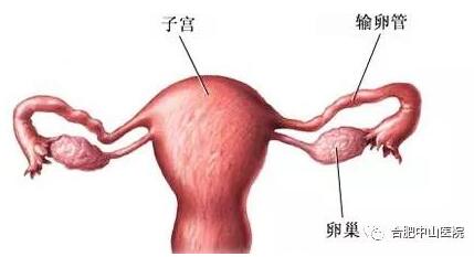 Ϊʲô�ᷢ�����ѹܶ���