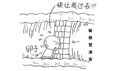 ���ѹܶ�����ԭ������Щ