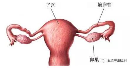 ���ѹܻ�ˮ����Щ֢״����