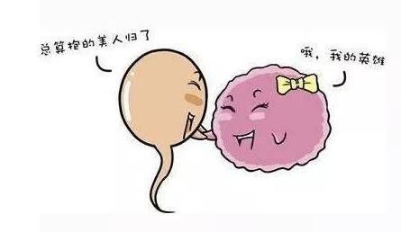 ����Ů�Բ��е���������Щ