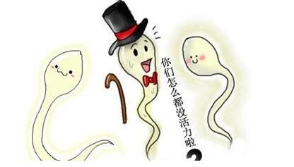 ���˸������߾��ӻ���