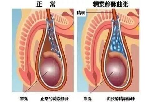 ���˳��־���������������ЩΣ��