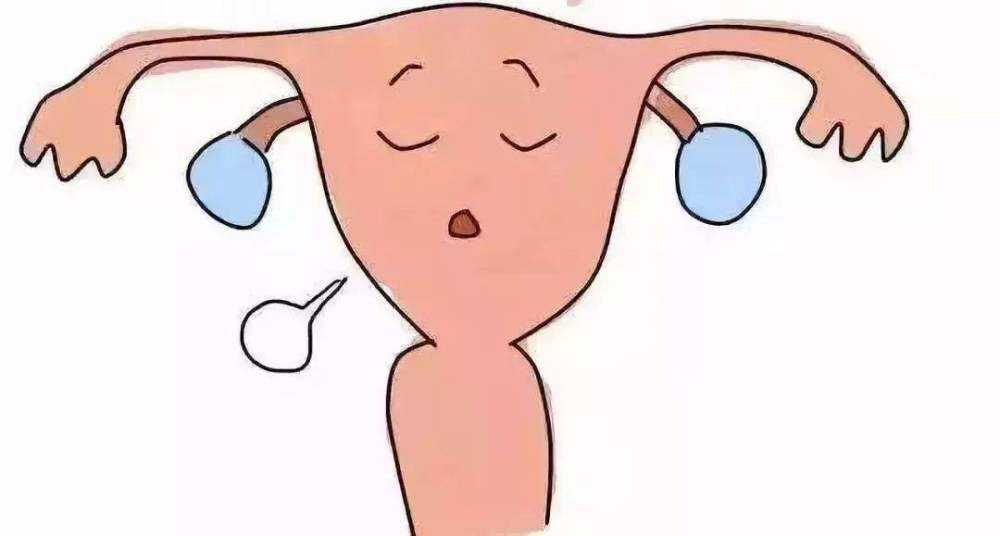 �ӹ����λ��Ů�������ЩΣ��